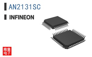 AN2131SC