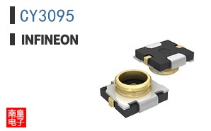 CY3095